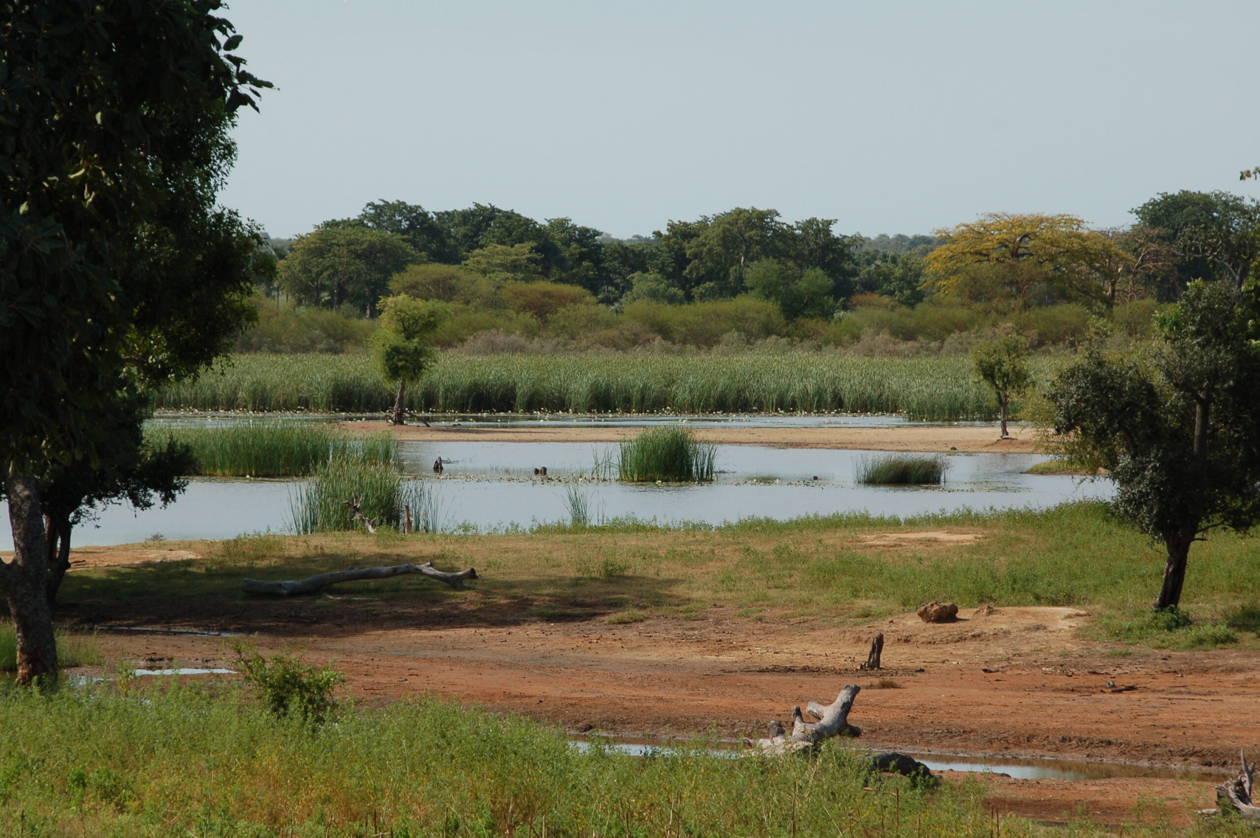 SR Monkey Lodge